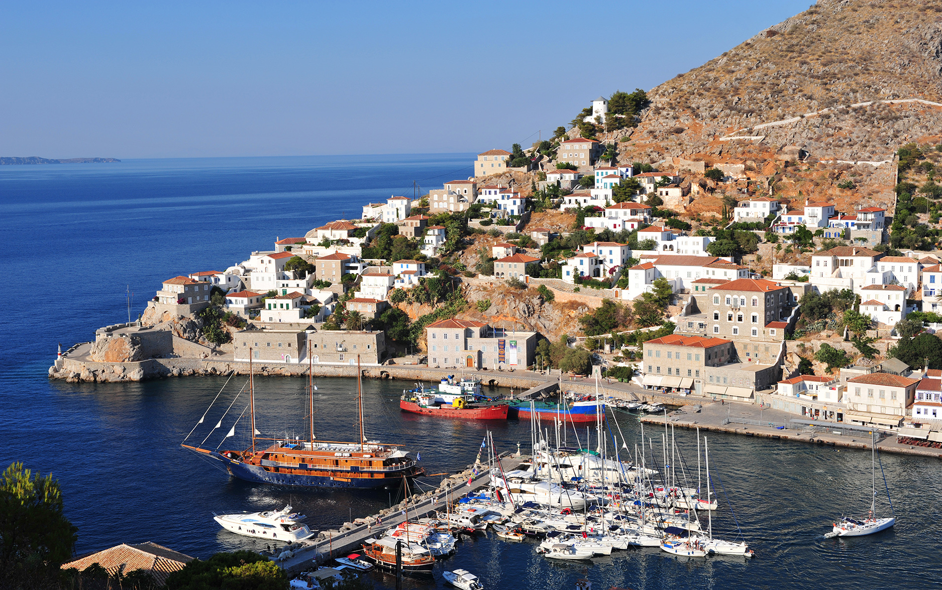 Hydra